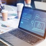 Build Your Store with WordPress